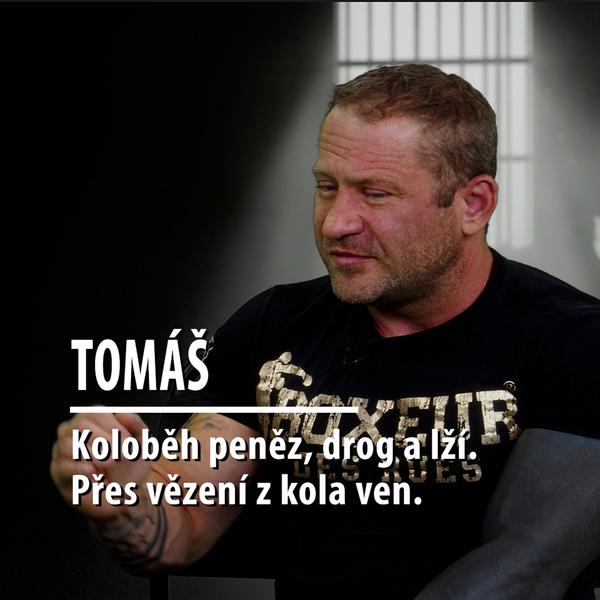 Motýl za katrem